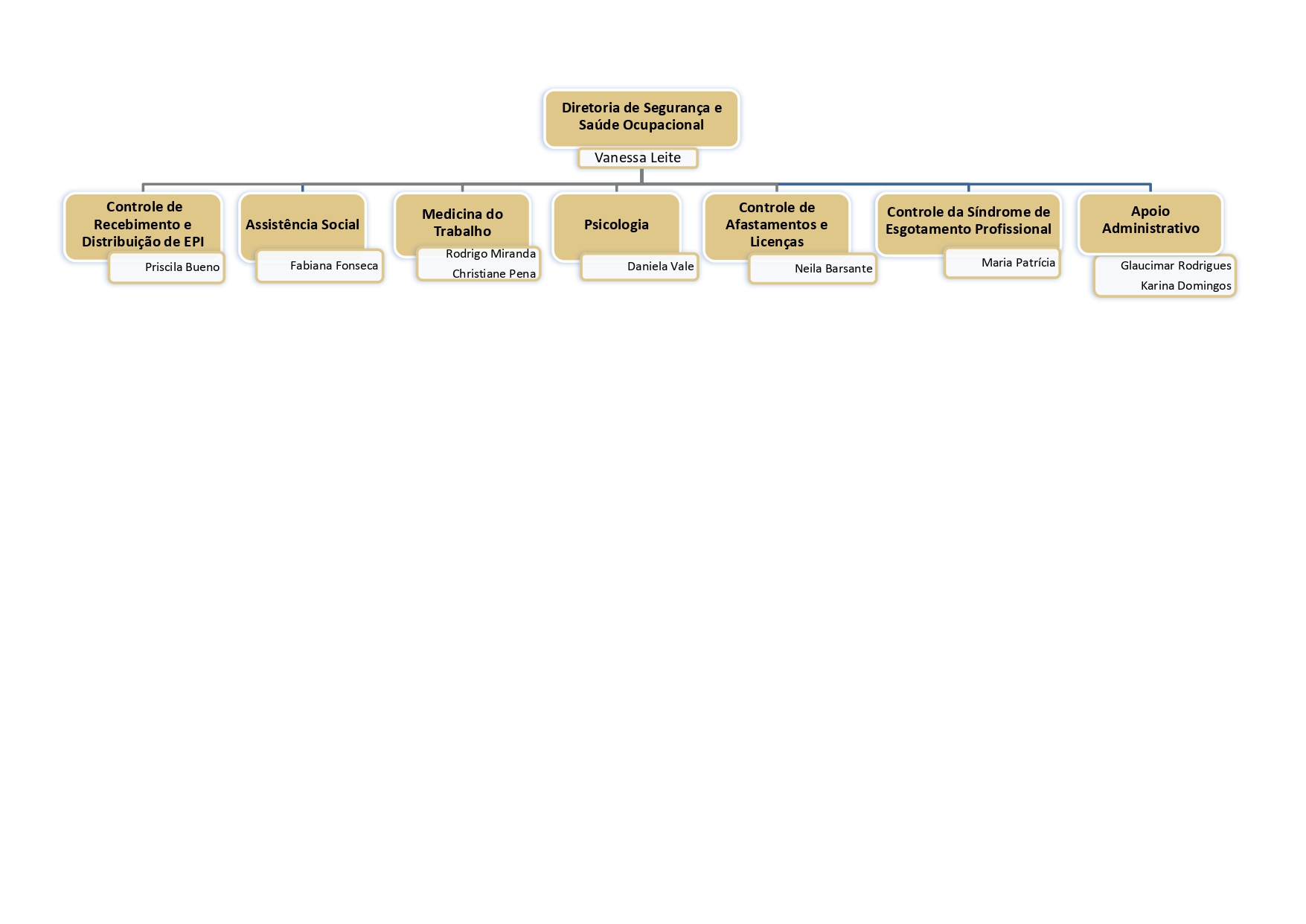 Estrutura Organizacional da Diretoria de Segurança e Saúde Ocupacional, sendo a supervisora Vanessa Leite.